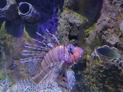 -太平洋海底世界