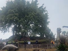 -自贡恐龙博物馆