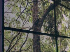 -潮粥荟·潮汕砂锅粥(朝阳大悦城店)