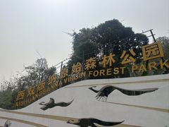 -西双版纳原始森林公园