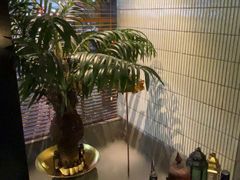-涟LIAN·泰式按摩·MASSAGE·SPA(华强北店)