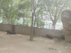 -郑州市动物园