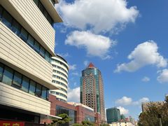 -上海市东方医院(总院)