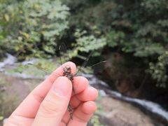 -南昆山川龙瀑布