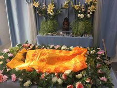 -彩虹桥宠物火化殡葬善终服务(金乐大厦店)