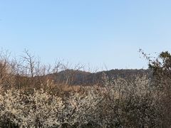 -缥缈峰景区