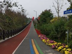 -上海长兴岛郊野公园