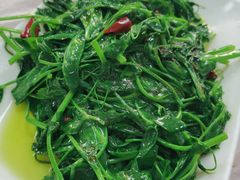 炝炒豌豆尖-龙潭李鸭子同乐饭店