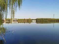 -大兴滨河森林公园