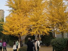 -辽宁大学(崇山校区)