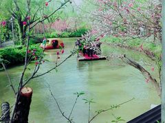 -南汇桃花村