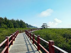 -北海金海湾红树林生态旅游区