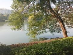 -南宁南湖公园