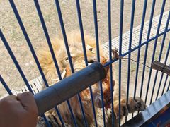 -鄂尔多斯野生动物园