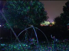 -天适樱花悠乐园