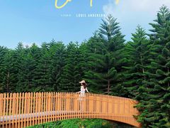 -迪茵湖田家舍生态农场