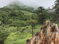 -硗碛藏寨·神木垒景区