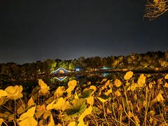 -长春市南湖公园