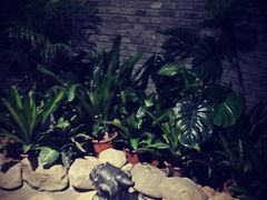 -云境岁月(象湖店)