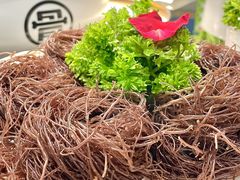 -益氣煲·筒骨砂锅火锅(安吉直营店)