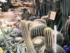 -国家植物园南园