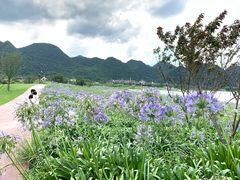 -云漫湖生态度假公园