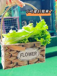 -可可天空农场(中大店)