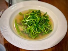 豆苗-茹·pure vegan(博华广场店)