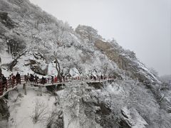 -老君山风景名胜区