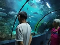 -南昌海洋公园