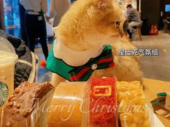 -星巴克(天津鲁能中心第三店)