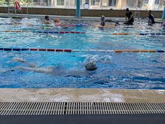 -向东体育豪廷游泳馆