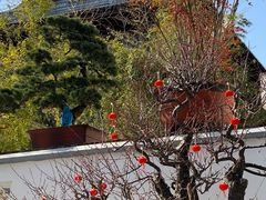 -龙华素斋(龙华路店)