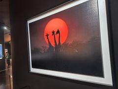 -罗红摄影艺术馆