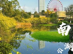 -成都南湖公园