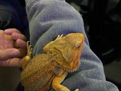 -FAIRYLAND龙族星球主题餐厅(凯丹广场店)