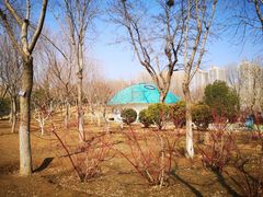 -燕郊植物园