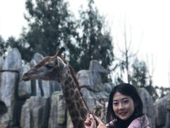 -昆明动物园
