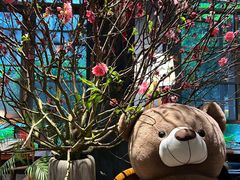 -咖法森林·咖啡  酒吧(天河店)