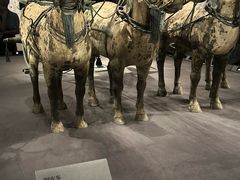 -秦始皇帝陵博物院-丽山园