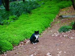 -苏州河梦清园环保主题公园