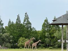 -宁波野生动物园