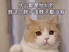 -海底捞火锅(龙岗星河COCO Park店)
