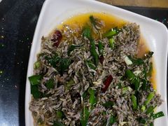 -晓雯人家