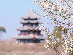 -上海海湾国家森林公园