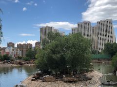 -青藏高原野生动物园