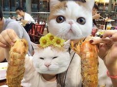 BANZAAN&nbsp;Fresh&nbsp;Market-班赞海鲜市场