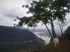 -铁山坪森林公园