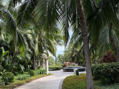 -三亚海棠湾喜来登度假酒店