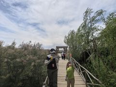 -水洞沟旅游区